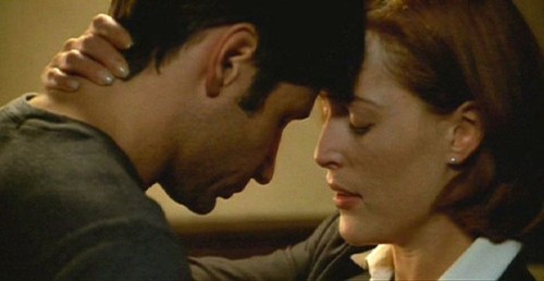 This scene and the pursuant 'shipper revenge is the single cause of bee population decline since 1998